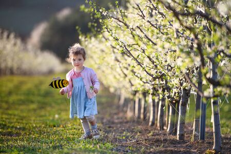 Small toddler girl running outdoors in orchard in spring, holding paper bee.の写真素材