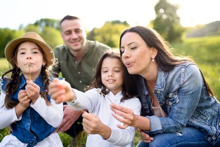 Happy family with two small daughters sitting outdoors in spring nature, blowing dandelion seeds.の写真素材