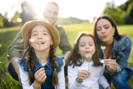 Happy family with two small daughters sitting outdoors in spring nature, blowing dandelion seeds.の写真素材