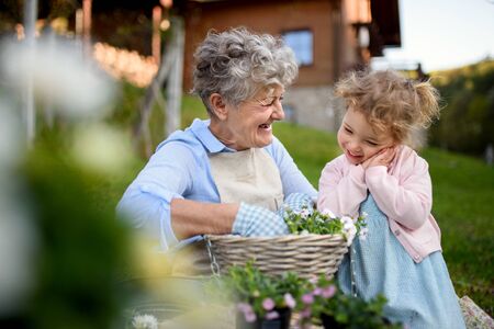 Senior grandmother with small granddaughter gardening outdoors in summer, laughing.
