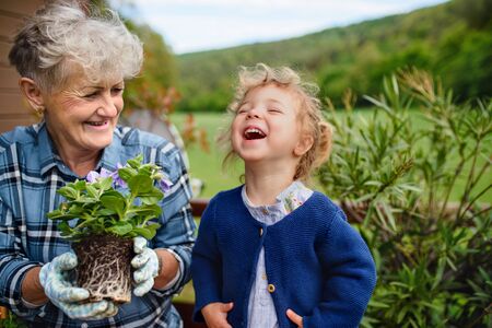 Senior grandmother with small granddaughter gardening on balcony in summer, laughing.の写真素材
