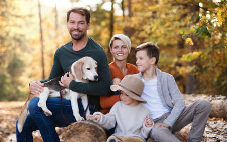Beautiful young family with small children on a walk in autumn forest.の写真素材