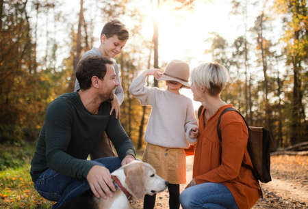 Beautiful young family with small children on a walk in autumn forest.の写真素材