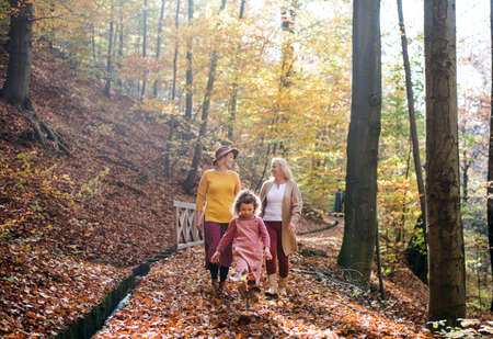 Small girl with mother and grandmother on a walk in autumn forest.の写真素材