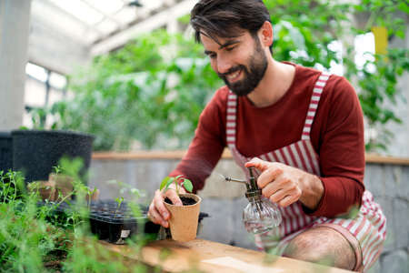 Man gardener working in greenhouse, spraying plants with water.
