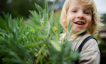 Close-up portrait of small boy outdoors in garden, sustainable lifestyle concept.の写真素材