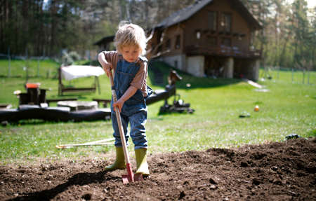 Small boy working outdoors in garden, sustainable lifestyle concept.の写真素材