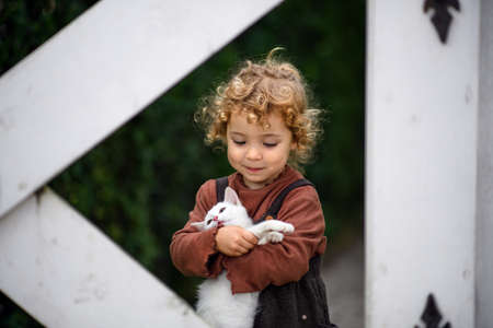 Portrait of small girl standing on farm, holding cat.の写真素材