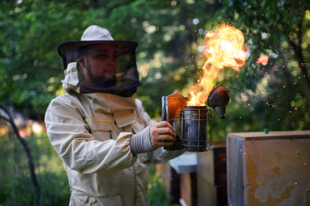 Portrait of man beekeeper working in apiary, using bee smoker.