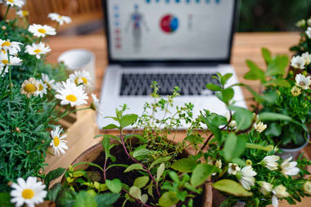 Top view of laptop on table on balcony in summer, outdoors office concept.の写真素材