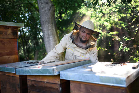 Portrait of man beekeeper working in apiary.の写真素材