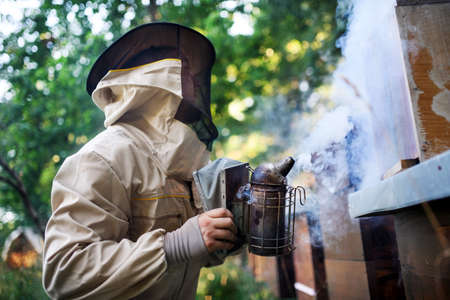 Portrait of man beekeeper working in apiary, using bee smoker.
