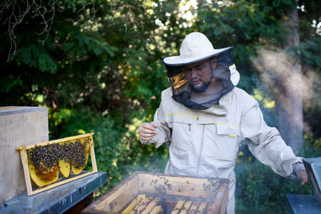 Portrait of man beekeeper working in apiary.の写真素材