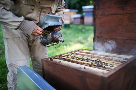 Unrecognizable man beekeeper working in apiary, using bee smoker.の写真素材