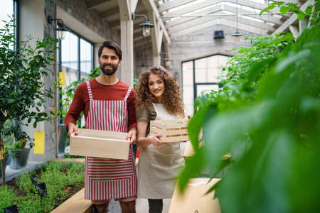 Portrait of man and woman gardeners standing in greenhouse, looking at camera.