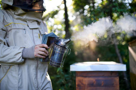 Unrecognizable man beekeeper working in apiary, using bee smoker.の写真素材