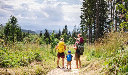 Rear view of family with small children hiking outdoors in summer nature.の写真素材