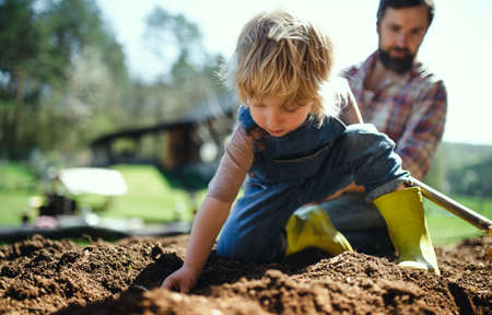 Father with small son working outdoors in garden, sustainable lifestyle concept.の写真素材
