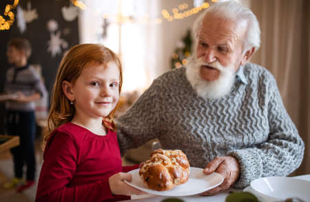 Small girl with senior grandfather indoors at home at Christmas, looking at camera.