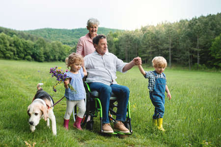 Small children with senior grandparents and dog on a walk on meadow in nature.の写真素材