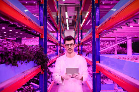 Worker with tablet on aquaponic farm, sustainable business and artificial lighting.