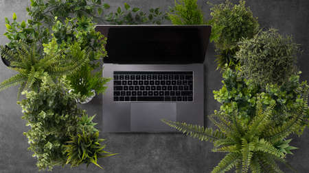 Flat lay top view office desk working space with laptop and potted plants on gray background.