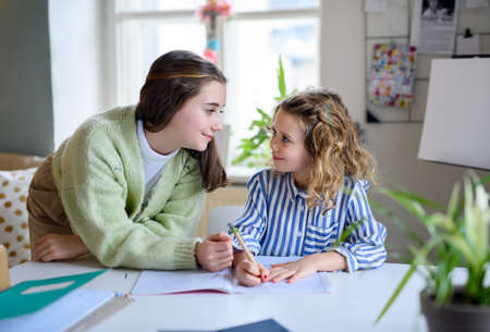 Sisters schoolgirls learning online indoors at home