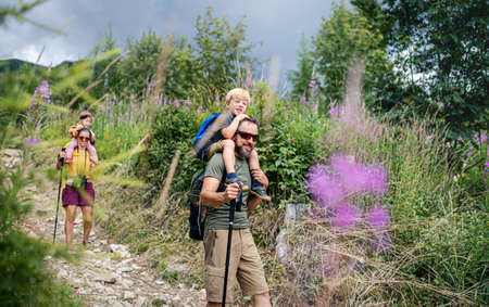 Family with small children hiking outdoors in summer nature, walking.の写真素材