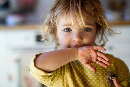 Small girl with dirty mouth indoors in kitchen at home, looking at camera.の写真素材