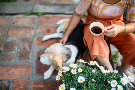 Unrecognizable senior woman with coffee sitting outdoors in garden, pet dog friendship.の写真素材