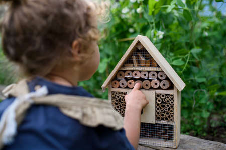 Rear view of small girl playing with bug and insect hotel in garden, sustainable lifestyle.