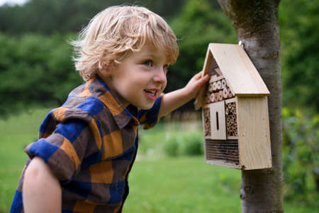 Small boy playing with bug and insect hotel in garden, sustainable lifestyle.の写真素材