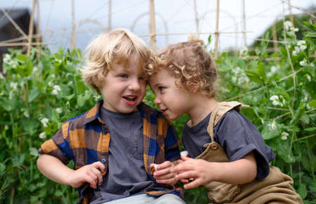 Portrait of two small children in vegetable garden, sustainable lifestyle.