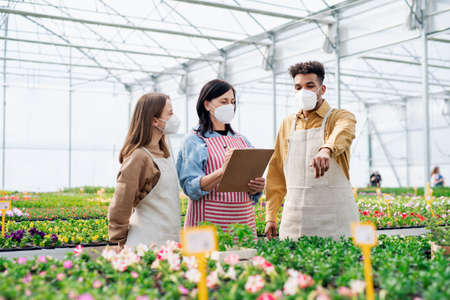 People working in greenhouse in garden centerの写真素材