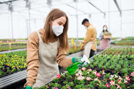Young woman working in greenhouse in garden centerの写真素材