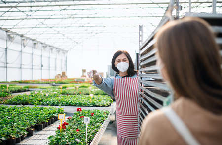 People working in greenhouse in garden centerの写真素材