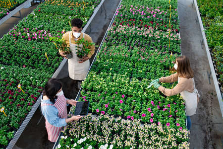 Top view of people working in greenhouse in garden centerの写真素材