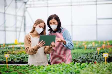 Women with tablet working in greenhouse in garden center