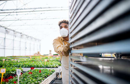 Young man working in greenhouse in garden centerの写真素材
