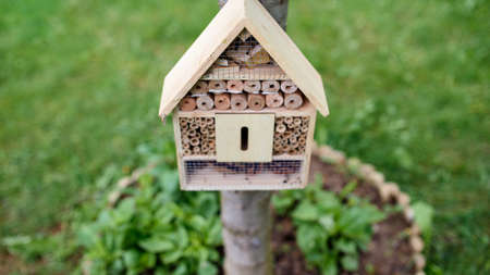 Insect hotel on tree in garden, sustainable lifestyle.の写真素材