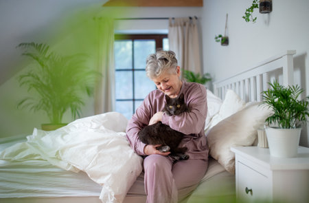 Happy senior woman with cat resting in bed at home.の写真素材