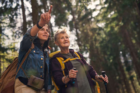 Senior women hikers outdoors walking in forest in nature, talking.