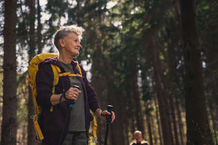 Senior woman hiker outdoors walking in forest in nature, walking.の写真素材