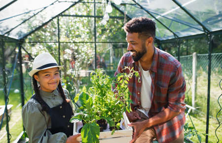 Happy young brother with small sister working outdoors in backyard, gardening and greenhouse concept.の写真素材