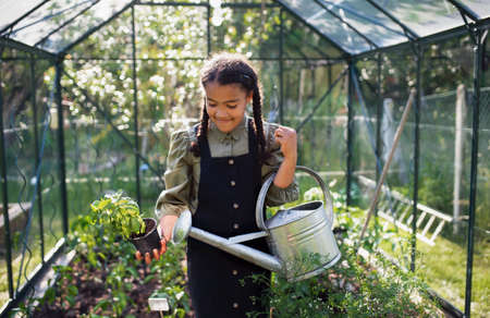 Happy small girl gardening in greenhouse outdoors in backyard.の写真素材
