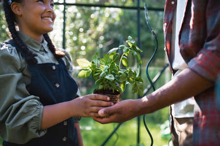 Happy young father with small daughter working outdoors in backyard, gardening and greenhouse concept.の写真素材