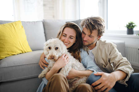 Happy young couple in love with dog indoors at home, resting.の写真素材