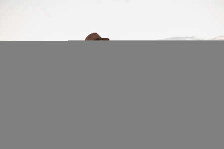 Happy senior couple hodling hands on walk outdoors on pier by sea, looking at view.の写真素材