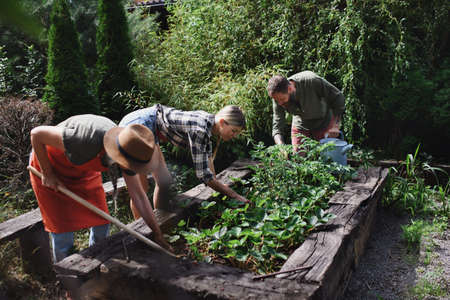Happy young and old farmers working with garden tools outdoors at community farm.の写真素材
