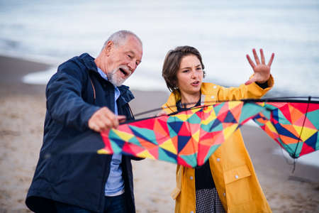 Senior man and his preteen granddaughter preparing kite for flying on sandy beach.の写真素材